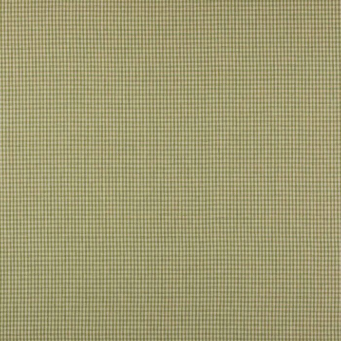 Jay Check Fabric - Leaf Green swatch