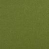 green plain woven fabric from Clarke & Clarke