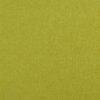 green plain woven fabric from Clarke & Clarke