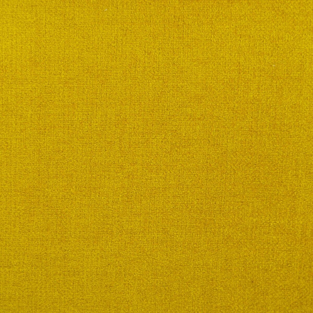 Cantare Fabric - Mustard by yellow plain velvet-chenille fabric from Cristina Marrone