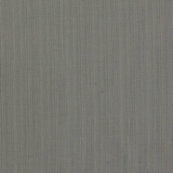 Remo Fabric - Charcoal fabric swatch F1665/02