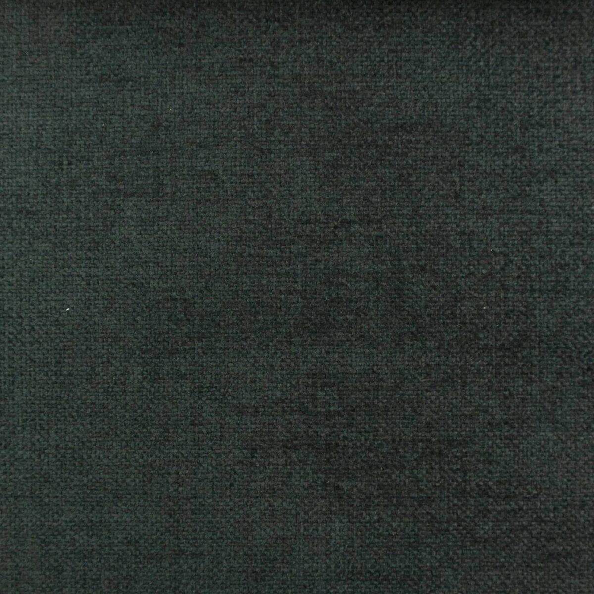 Cantare Fabric - Charcoal by black-grey plain velvet-chenille fabric from Cristina Marrone