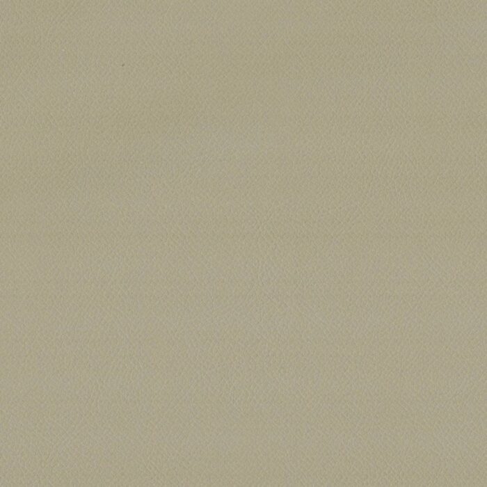 Enduro Fabric - Vanilla fabric swatch END3137