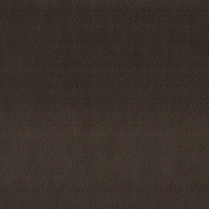 Enduro Fabric - Caramel fabric swatch END3142