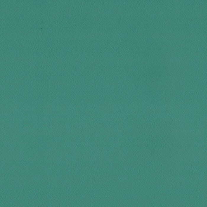 Enduro Fabric - Peppermint fabric swatch END3153