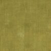 green plain velvet-chenille fabric from Cristina Marrone
