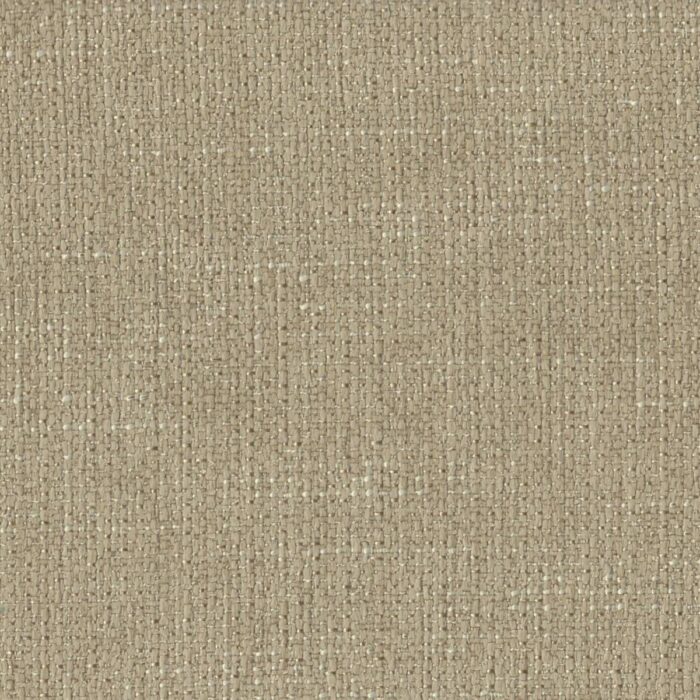 Ponte Fabric - Champagne swatch