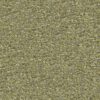 green plain woven fabric from Designers Guild