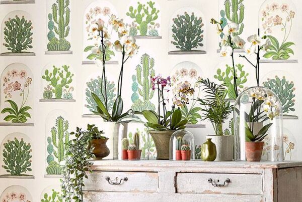 Terrariums Wallpaper - Ink / Multi by Terrariums Wallpaper - Ink / Multi from