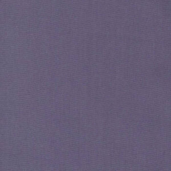 Zion Fabric - Captain swatch
