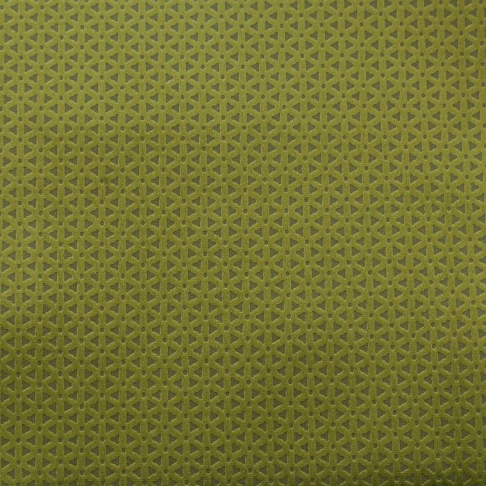 Loreto Fabric - Olive swatch
