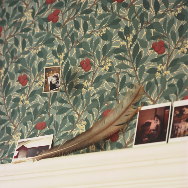 Arbutus Wallpaper - Olive / Pink from