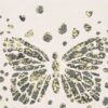 black-grey animal wallpaper from christian lacroix