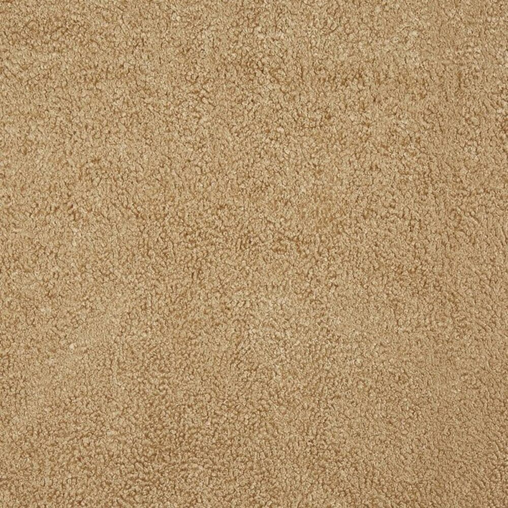 Fergus Fabric - Honey by neutral plain velvet-chenille fabric from Prestigious Textiles