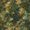 green botanical wallpaper from clarke & clarke