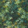 green botanical wallpaper from clarke & clarke