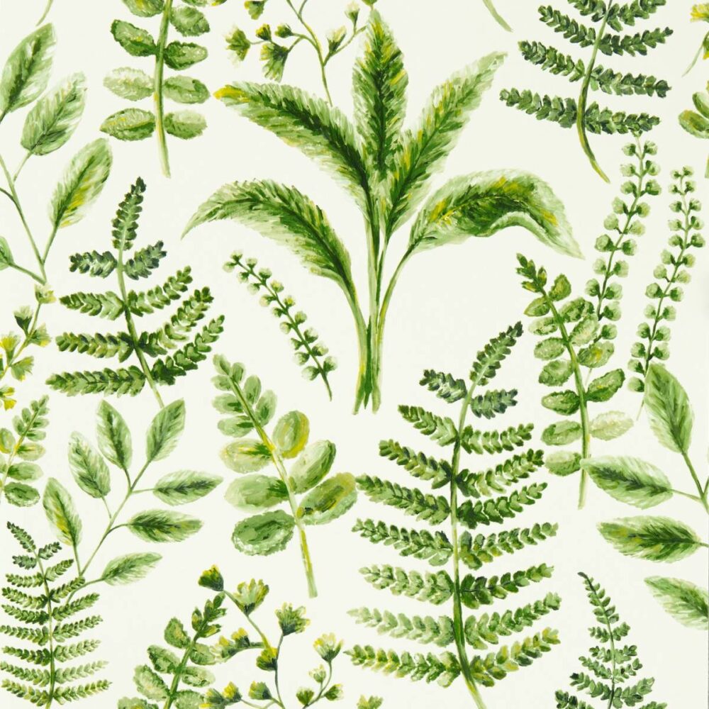 green botanical wallpaper from clarke & clarke