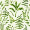 green botanical wallpaper from clarke & clarke