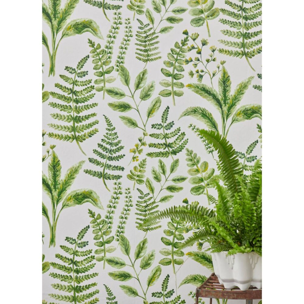 Bracken Wallpaper - Forest from