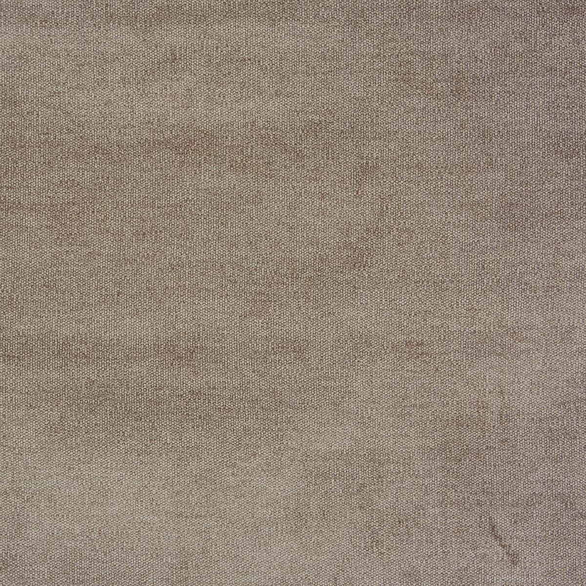Bravo Fabric - Flax by neutral plain velvet-chenille fabric from Prestigious Textiles