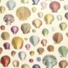 multicolour animal wallpaper from john derian