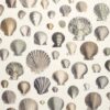 multicolour animal wallpaper from john derian