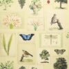 multicolour animal wallpaper from john derian