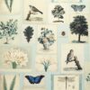 blue animal wallpaper from john derian