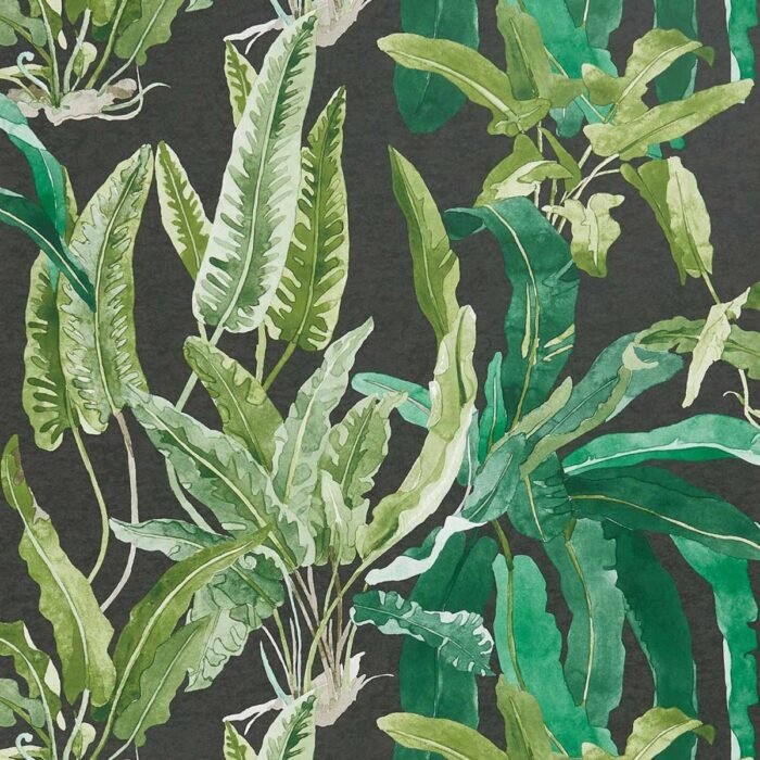 Benmore Wallpaper - Emerald / Green / Ebony swatch