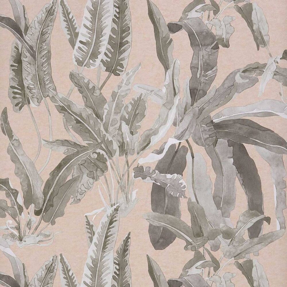 Benmore Wallpaper - Blush / Grey by black-grey botanical wallpaper from nina campbell