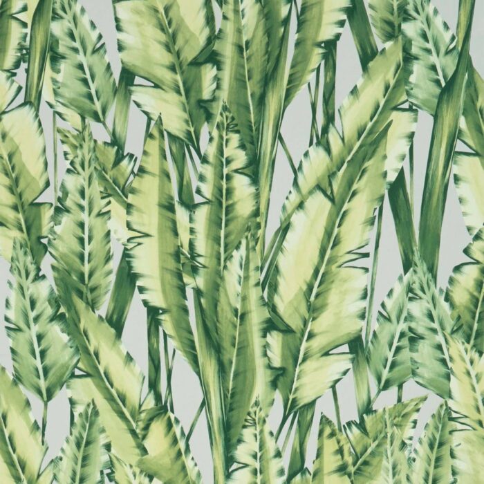 Tiger Leaf Wallpaper - Green swatch
