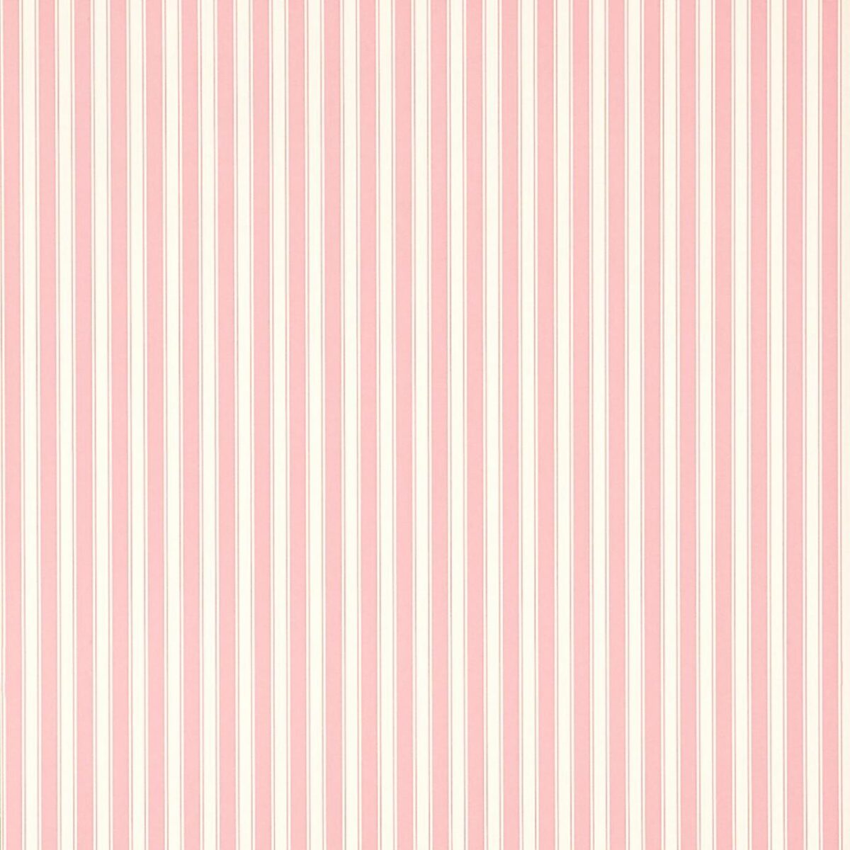 New Tiger Stripe Wallpaper - Rose / Ivory by New Tiger Stripe Wallpaper - Rose / Ivory from