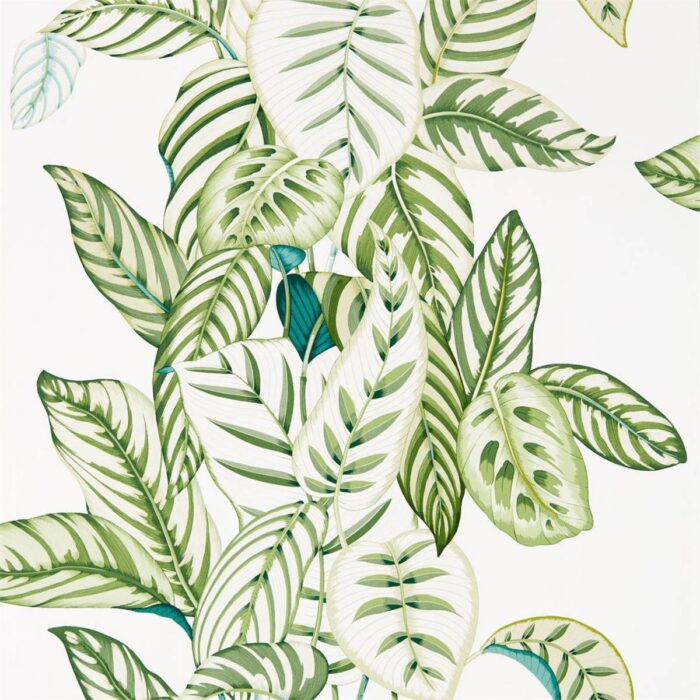 Calathea Wallpaper - Botanical Green fabric swatch DGLW216630
