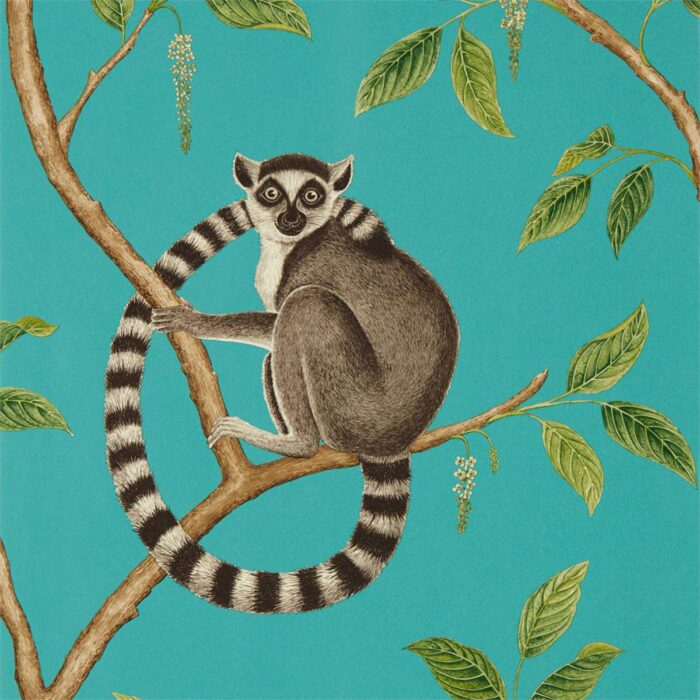 Ringtailed Lemur Wallpaper - Teal swatch