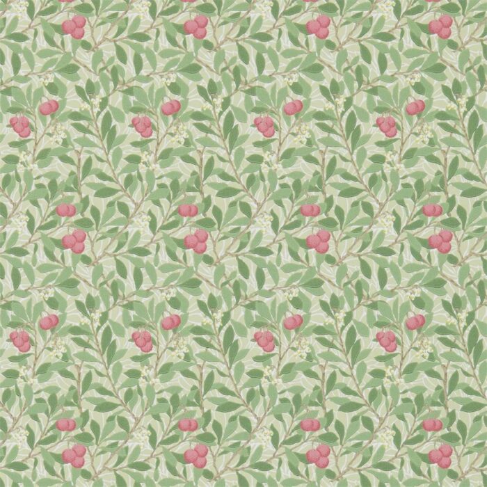 Arbutus Wallpaper - Olive / Pink swatch