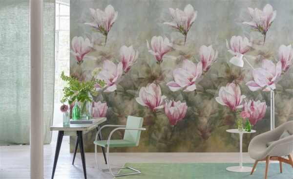 Yulan Wallpaper - Magnolia from