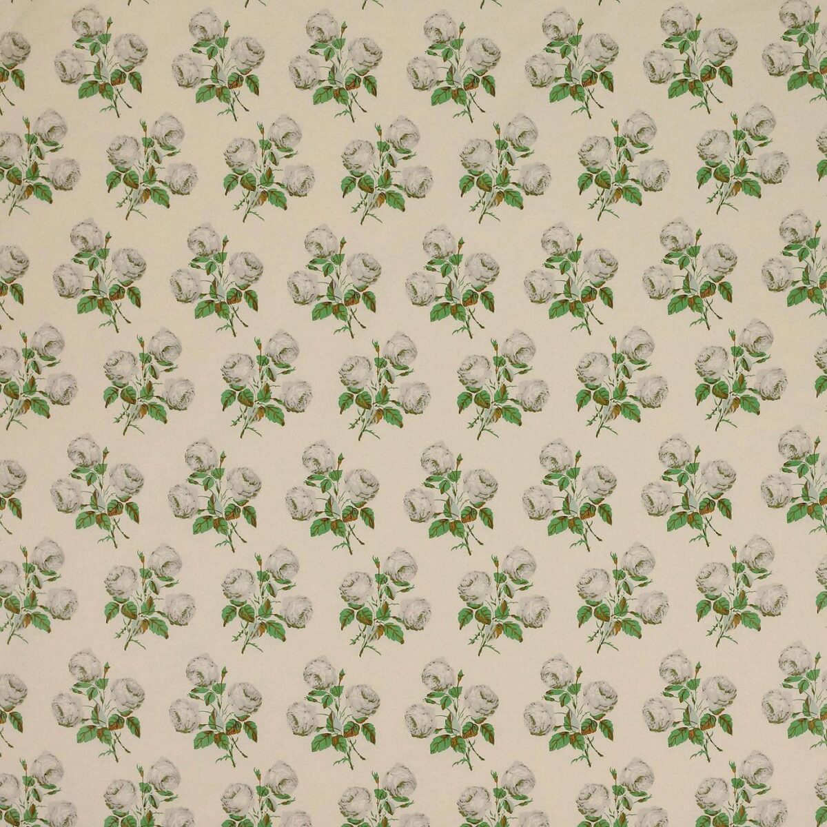 Bowood Chintz Fabric - Green / Grey by green botanical cotton fabric from Colefax & Fowler