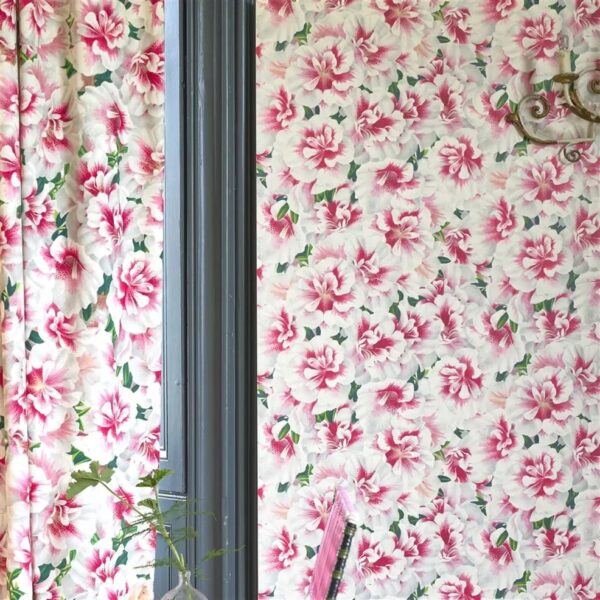 Variegated Azalea Wallpaper - Azalea by Variegated Azalea Wallpaper - Azalea from