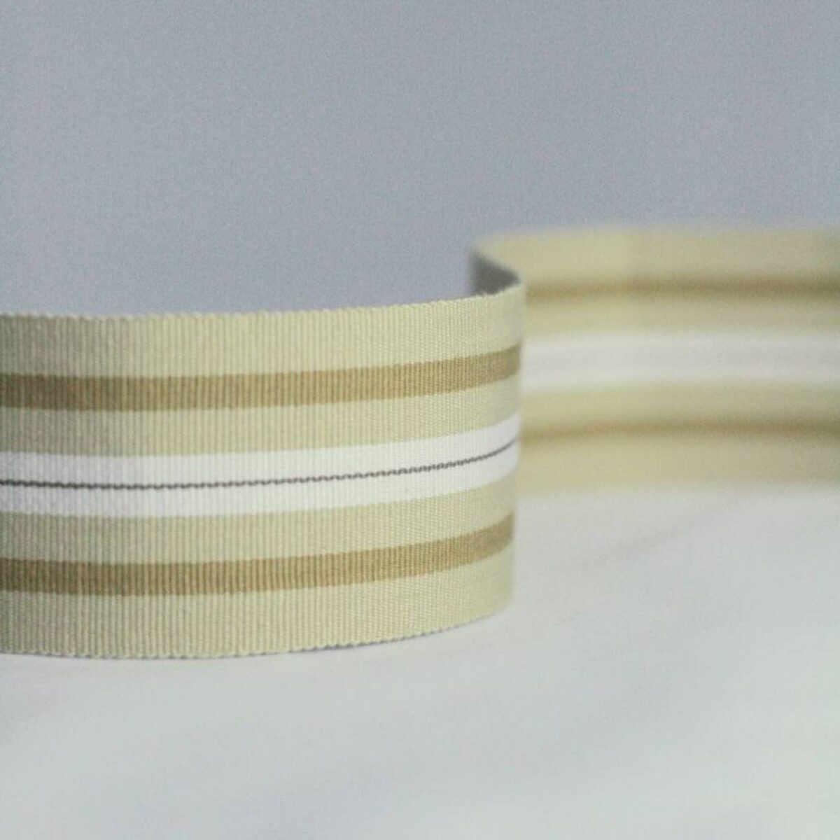 Narrow Woven Border from