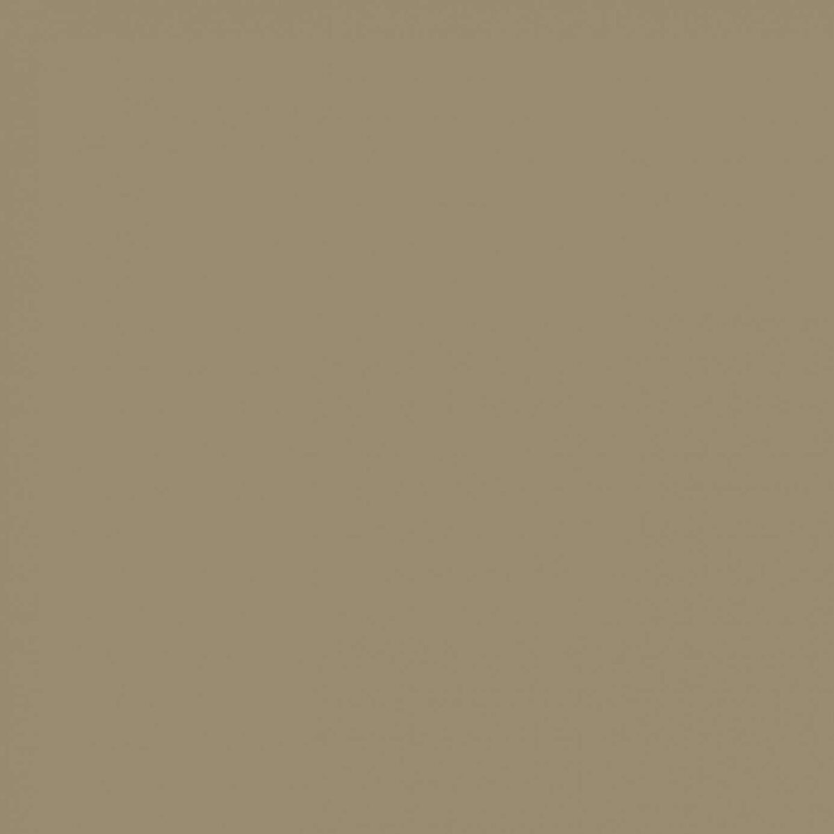 Morris & Co Olive Fruit Paint by Morris & Co Olive Fruit Paint from