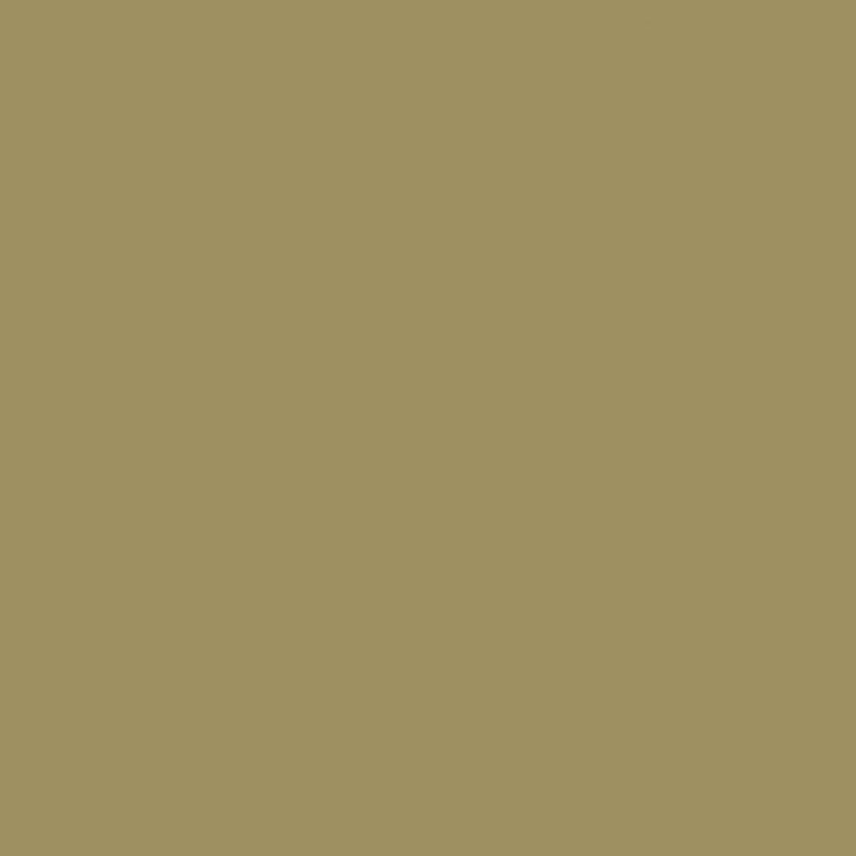 Morris & Co Twining Vine Paint by Morris & Co Twining Vine Paint from