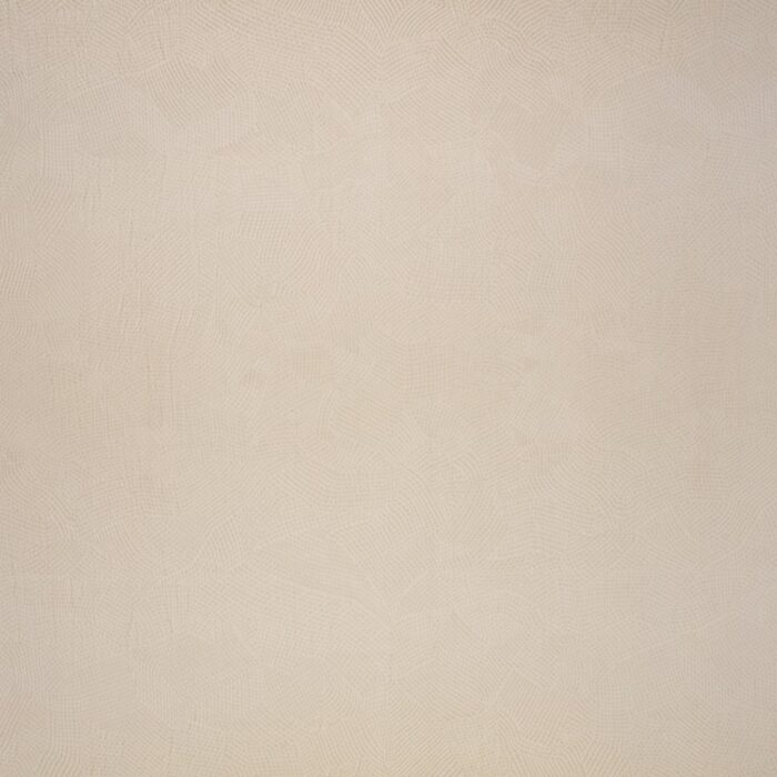 Boa Fabric - Pampas swatch