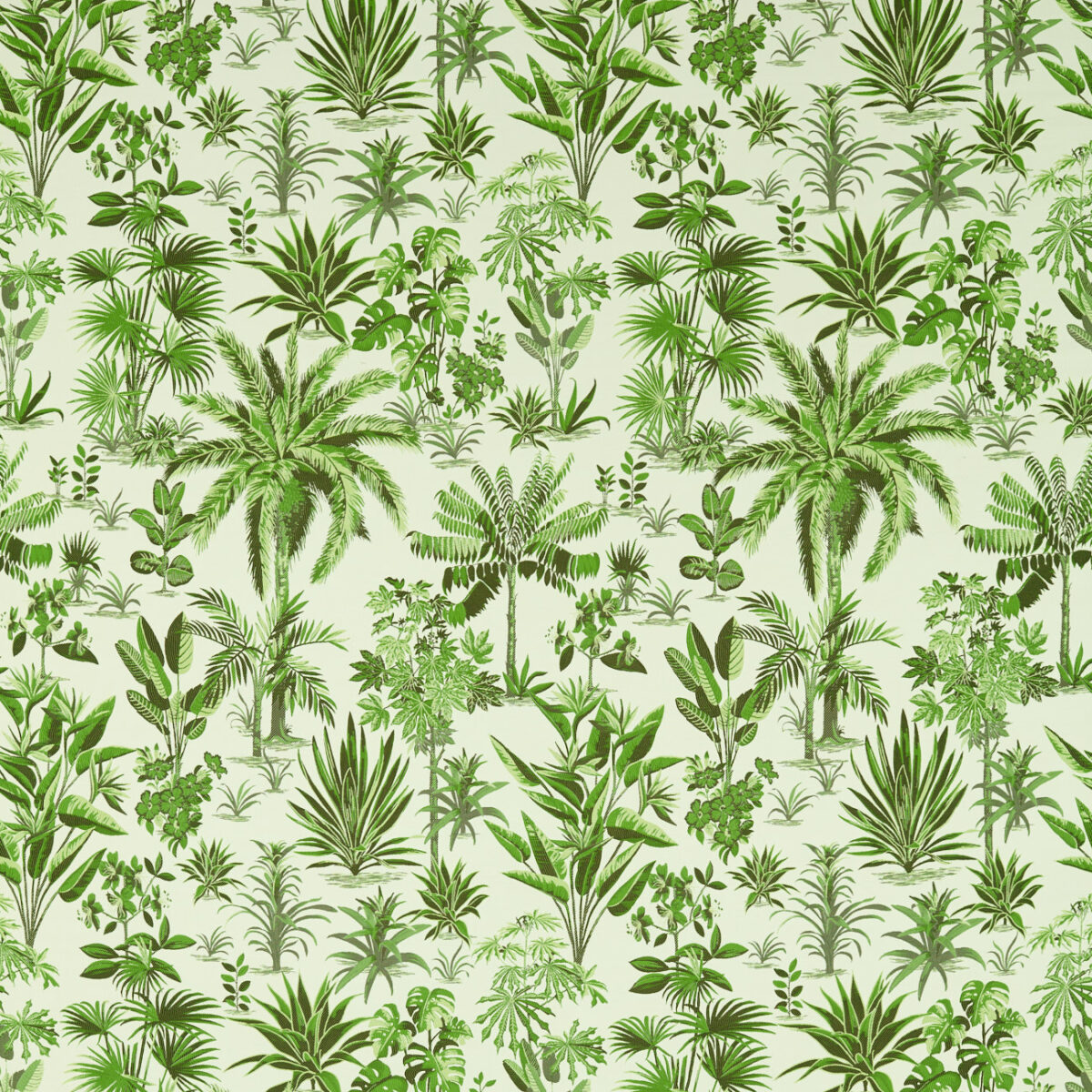 Malindi Fabric - Palm by green botanical jacquard fabric from Clarke & Clarke