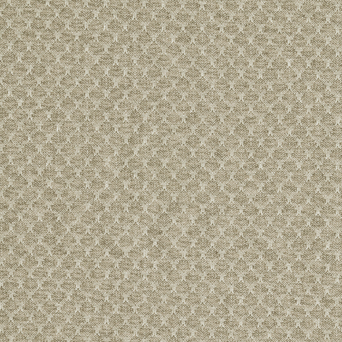 green misc woven fabric from Clarke & Clarke