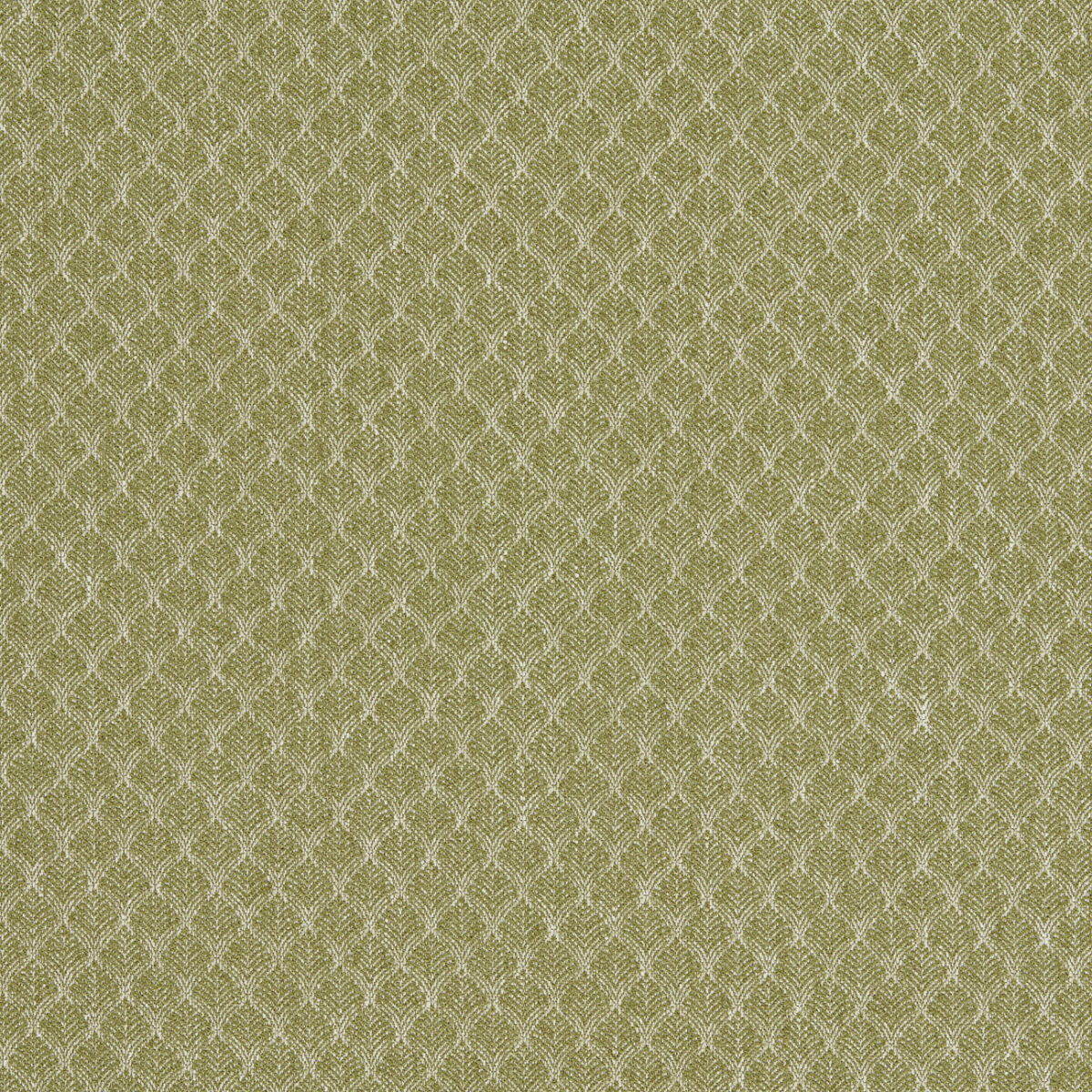 green misc woven fabric from Clarke & Clarke