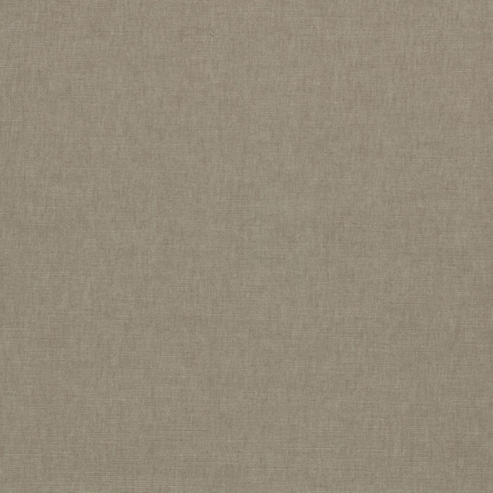 Paradiso Fabric - Ash swatch