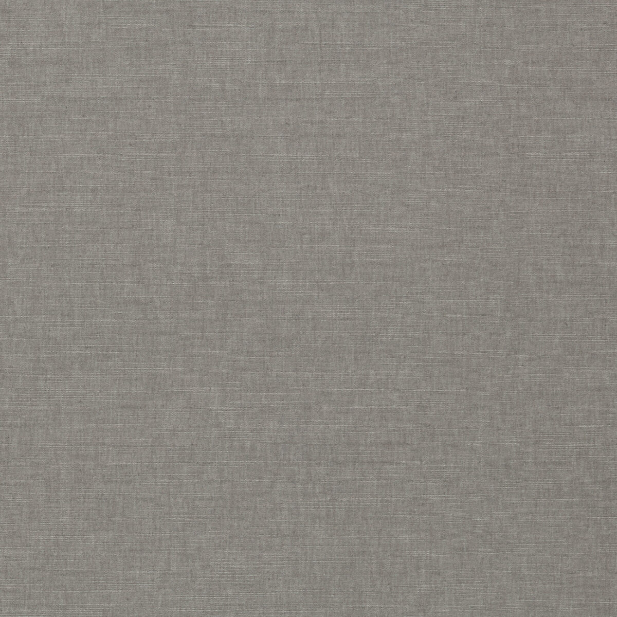 Paradiso Fabric - Dolphin by black-grey plain woven fabric from Clarke & Clarke