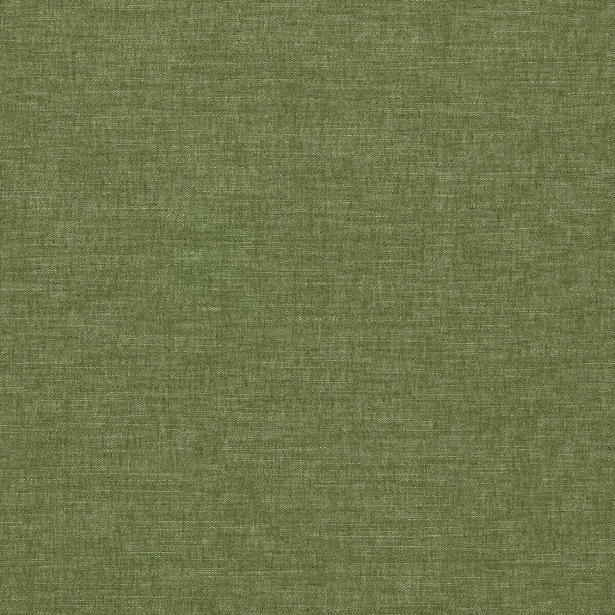 Paradiso Fabric - Olive by green plain woven fabric from Clarke & Clarke