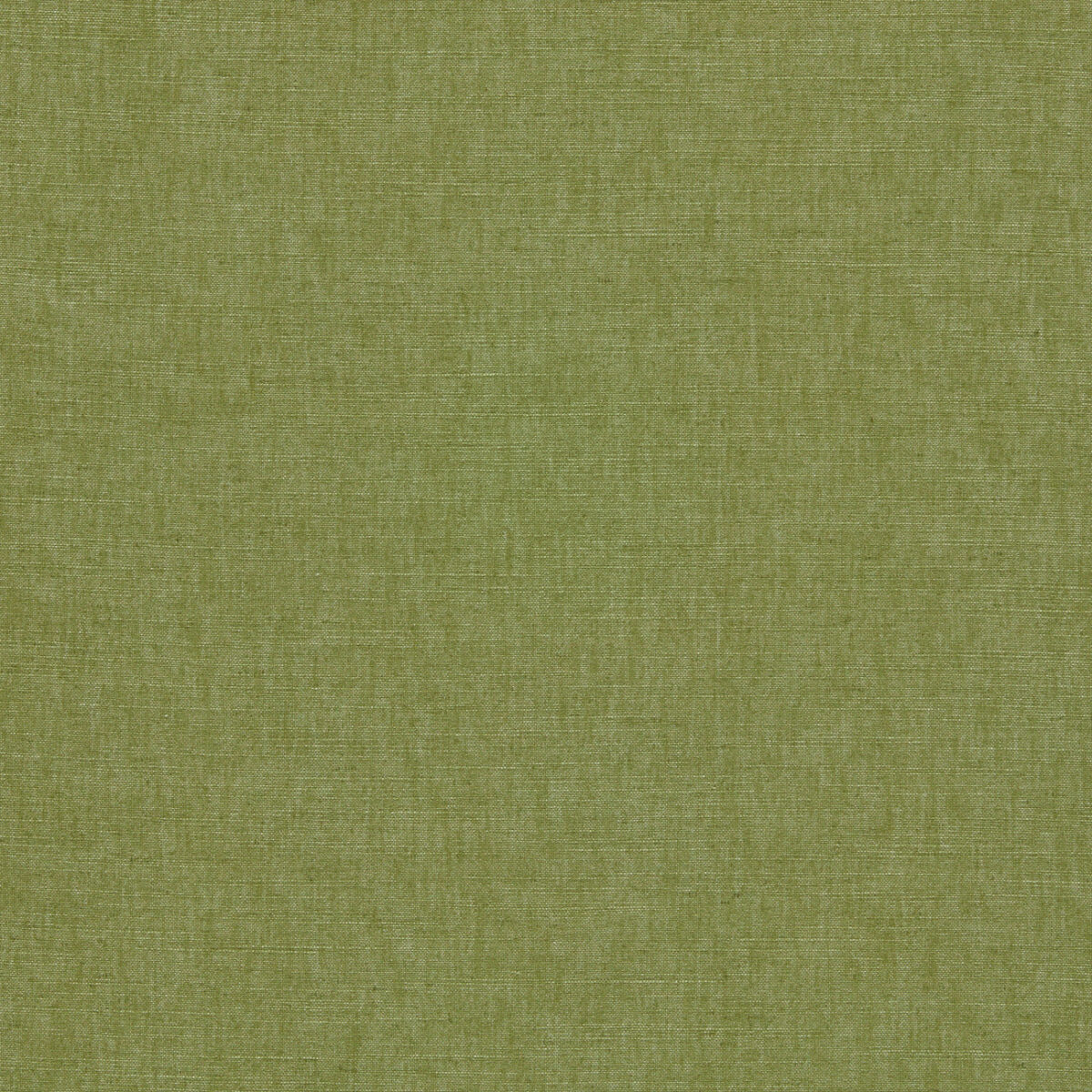 Paradiso Fabric - Palm by green plain woven fabric from Clarke & Clarke
