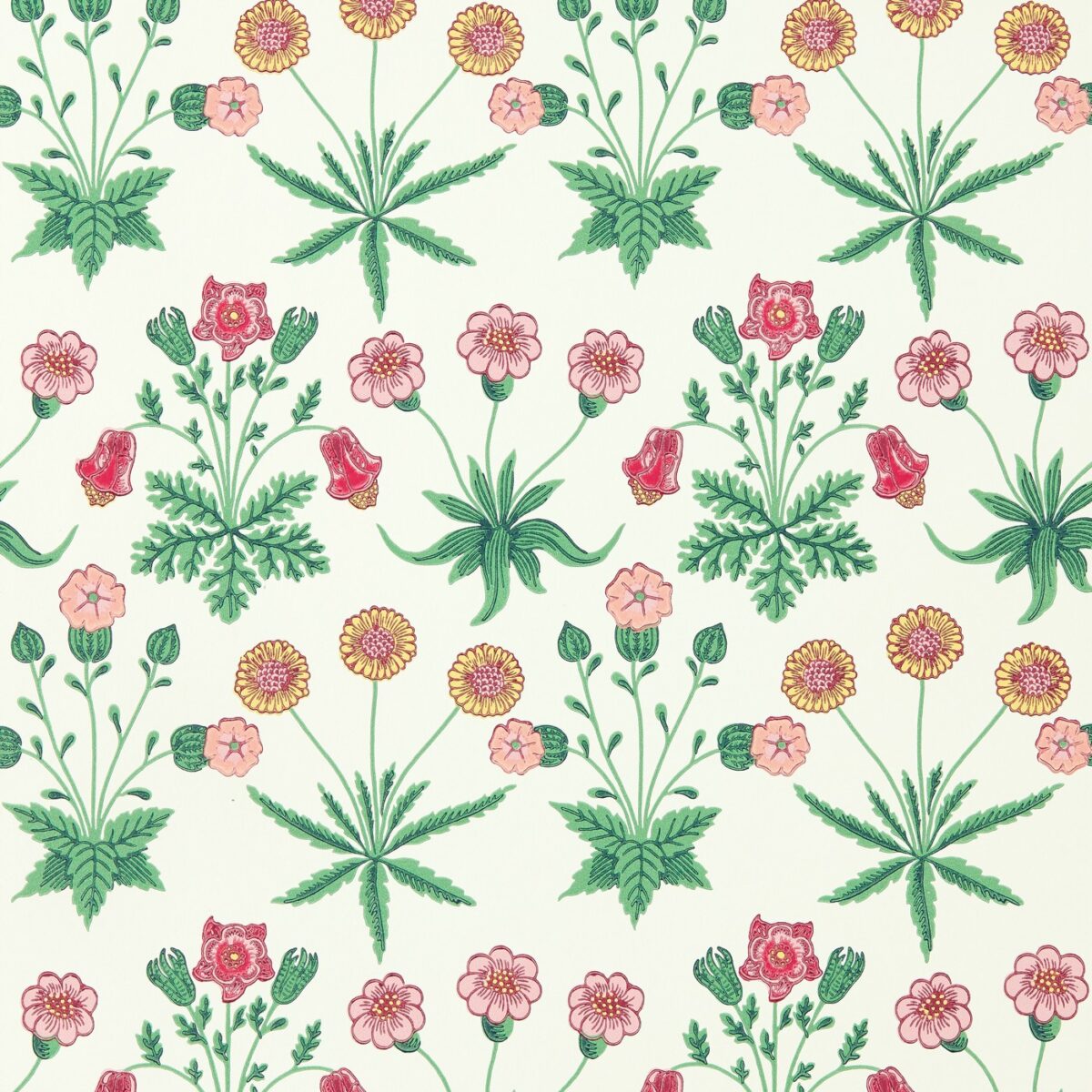 Daisy Wallpaper - Strawberry Fields by Daisy Wallpaper - Strawberry Fields from